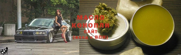 индика Семёнов