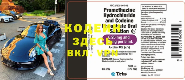 индика Семёнов