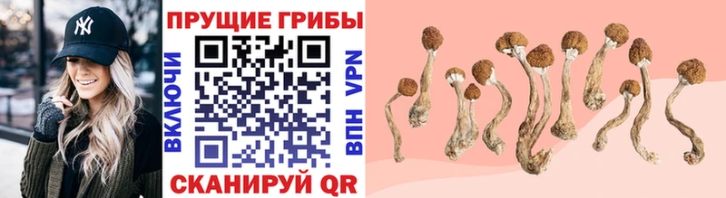 Галлюциногенные грибы мицелий  Купить  Ялта 